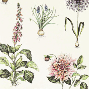 Clarke and clarke secret garden 53 product listing