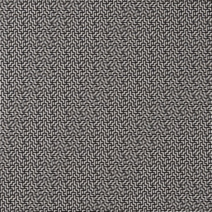 Clarke and clarke black and white 30 product listing