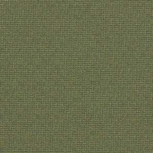 Clarke and clarke burlington 11 product listing