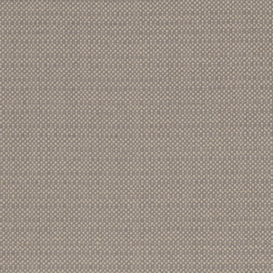 Clarke and clarke exotica 15 product listing
