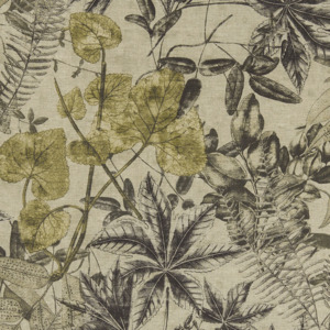 Clarke and clarke exotica 21 product listing