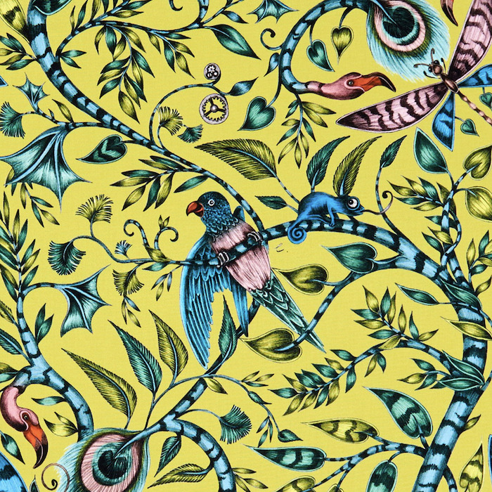 Emma shipley animalia 39 product detail