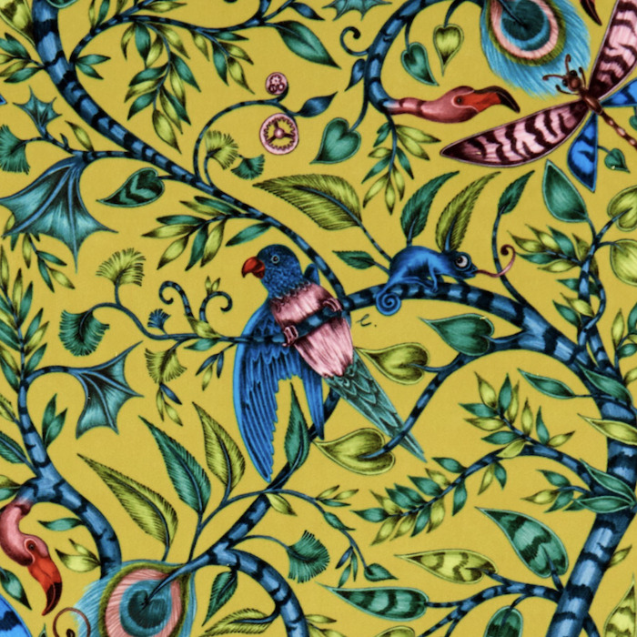 Emma shipley animalia 40 product detail