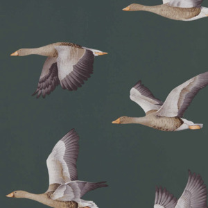 Sanderson wallpaper arboretum 12 product listing