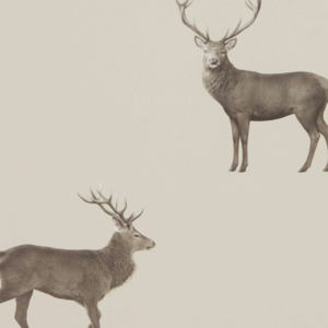 Sanderson wallpaper arboretum 13 product listing