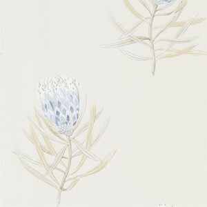Sanderson wallpaper art garden 11 product listing