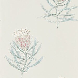 Sanderson wallpaper art garden 14 product listing