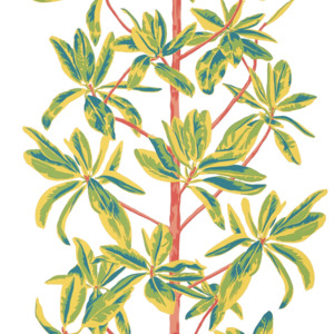 Thibaut wanderlust 69 product listing