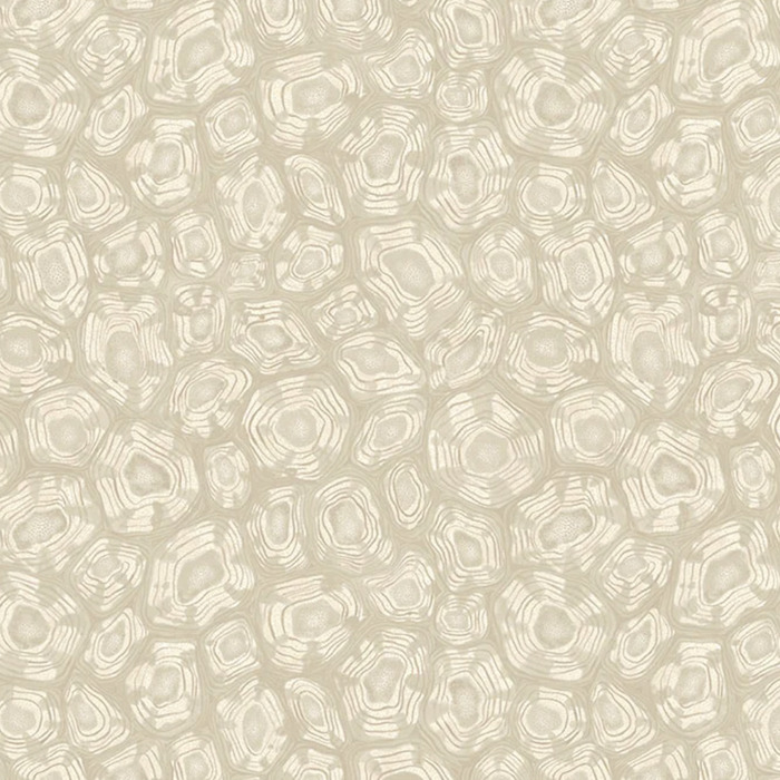 Cole and son wallpaper jabula 38 product detail