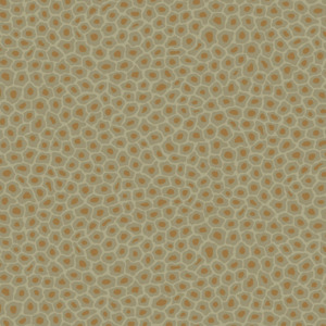 Cole and son wallpaper ardmore 52 product listing
