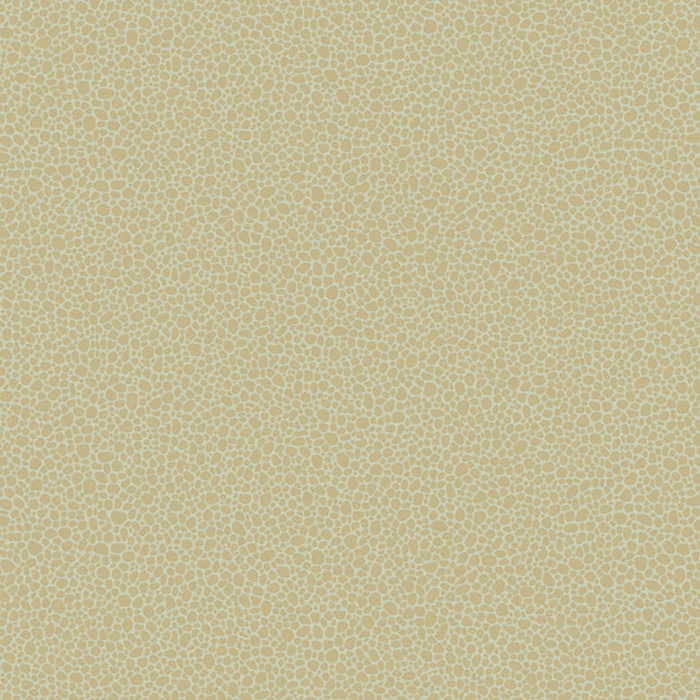 Cole and son wallpaper curio 5 product detail