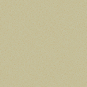 Cole and son wallpaper curio 5 product listing