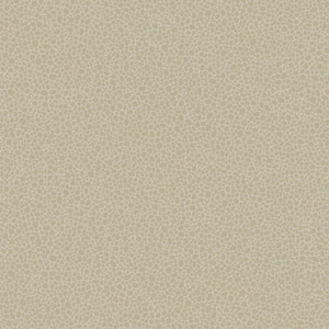 Cole and son wallpaper curio 6 product listing