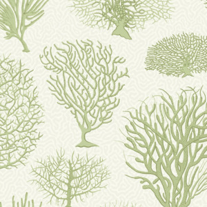 Cole and son wallpaper curio 29 product listing