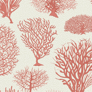 Cole and son wallpaper curio 32 product listing