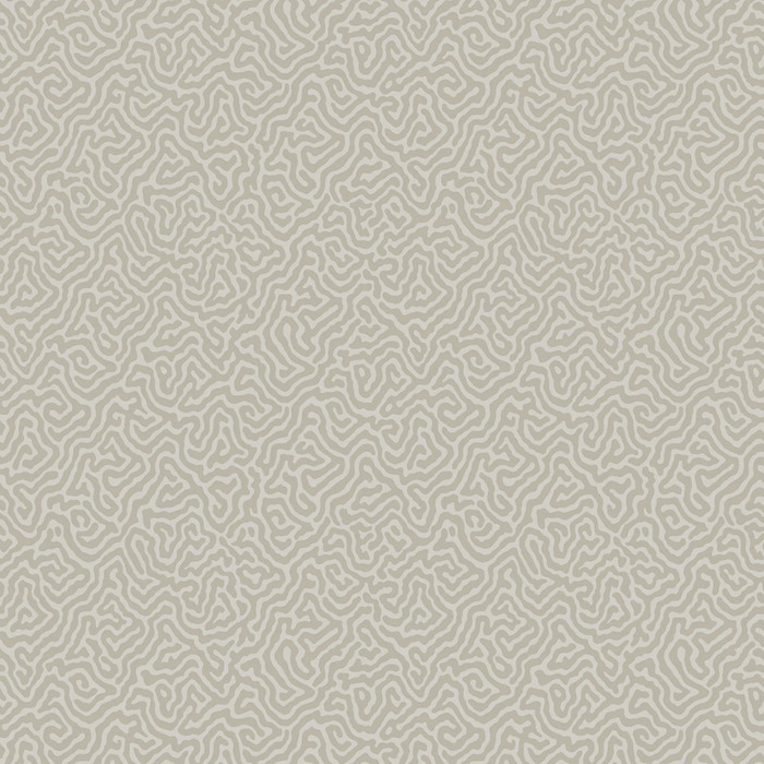 Cole and son wallpaper curio 40 product detail
