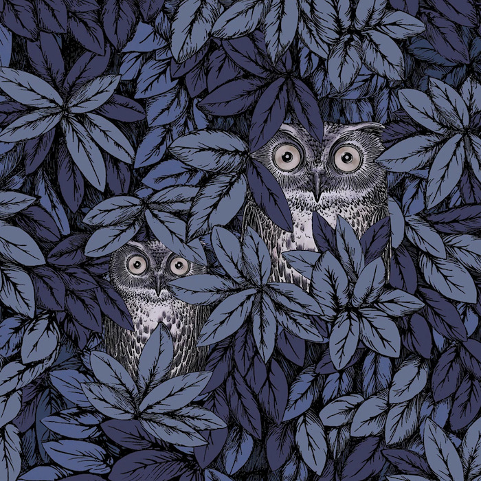 Cole and son wallpaper fornasetti senza 14 product detail
