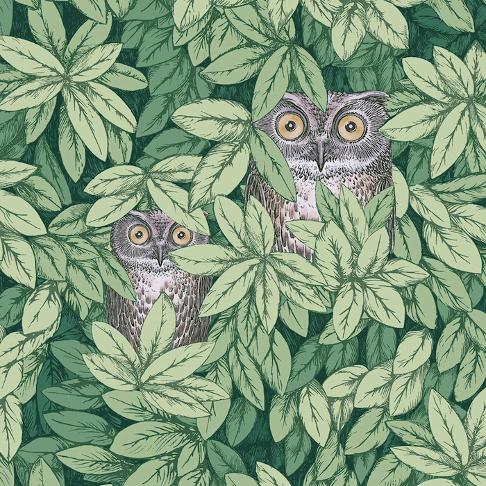Cole and son wallpaper fornasetti senza 15 product detail