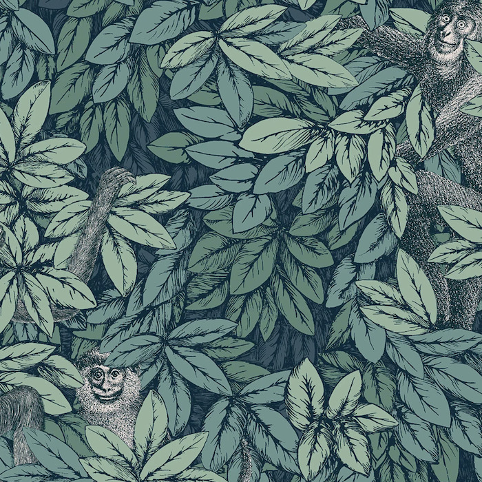 Cole and son wallpaper fornasetti senza 17 product detail