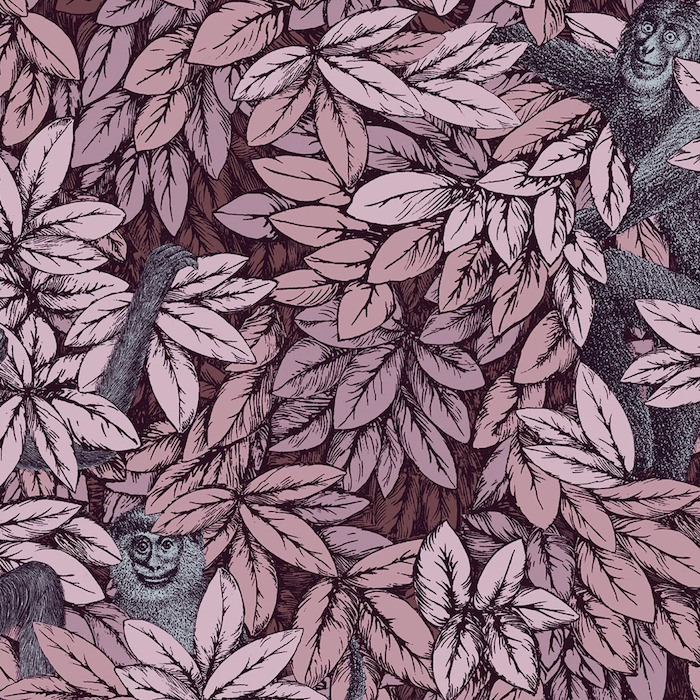 Cole and son wallpaper fornasetti senza 19 product detail