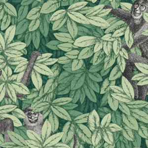 Cole and son wallpaper fornasetti senza 20 product listing