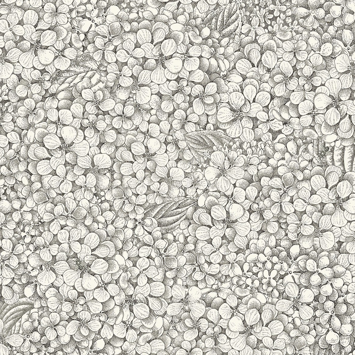 Cole and son wallpaper fornasetti senza 32 product detail