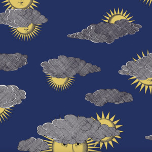 Cole and son wallpaper fornasetti senza 40 product listing