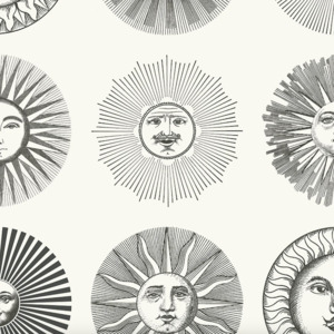 Cole and son wallpaper fornasetti senza 46 product listing