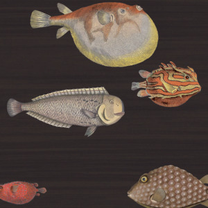Cole and son wallpaper fornasetti 2 product listing