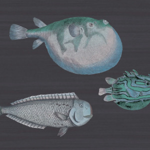 Cole and son wallpaper fornasetti 3 product listing
