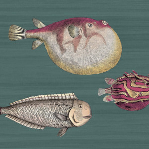 Cole and son wallpaper fornasetti 5 product listing