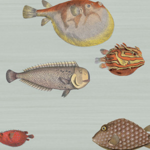 Cole and son wallpaper fornasetti 1 product listing