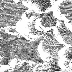Cole and son wallpaper fornasetti 46 product listing