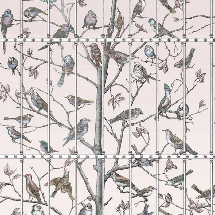 Cole and son wallpaper fornasetti 61 product detail