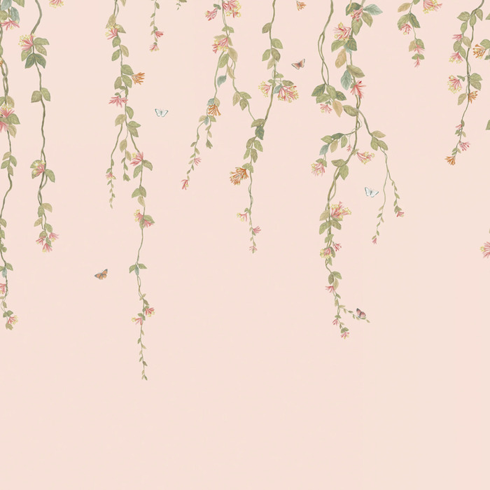Cole and son wallpaper selection of hummingbirds 18 product detail