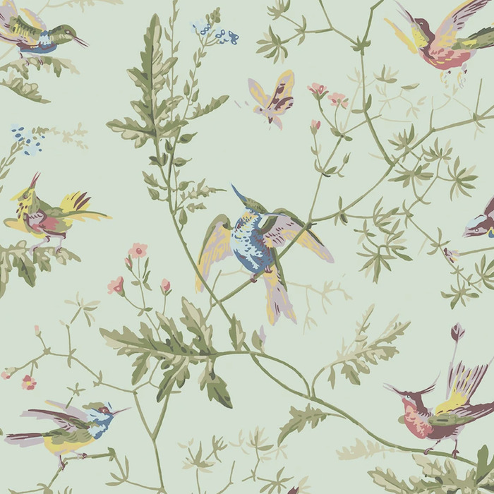 Cole and son wallpaper selection of hummingbirds 7 product detail