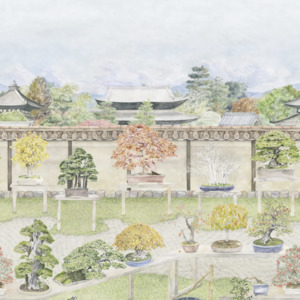 Cole and son wallpaper shinrin yoku 35 product listing