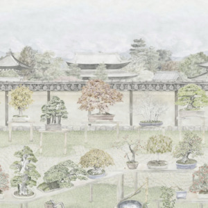 Cole and son wallpaper shinrin yoku 36 product listing