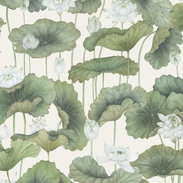 Cole and son wallpaper shinrin yoku 16 product detail