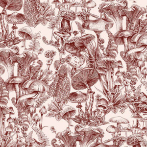 Cole and son wallpaper stella mccartney 1 product listing