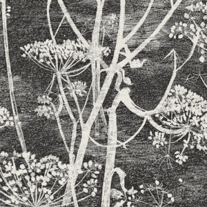 Cole and son wallpaper contemporary 3 product listing