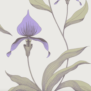 Cole and son wallpaper contemporary 59 product listing
