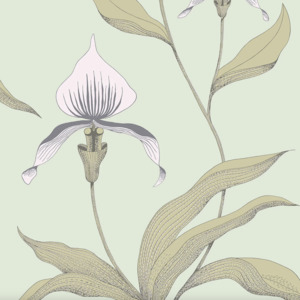 Cole and son wallpaper contemporary 62 product listing