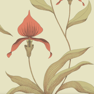 Cole and son wallpaper contemporary 64 product listing