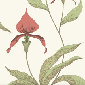 Cole and son wallpaper contemporary 65 product listing