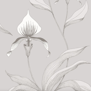 Cole and son wallpaper contemporary 66 product listing