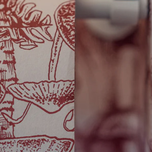 Cole and son stella mccartney collection product listing