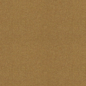 Abraham moon earth 51 product listing