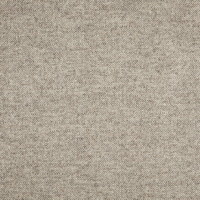 Abraham moon transitional 16 product detail