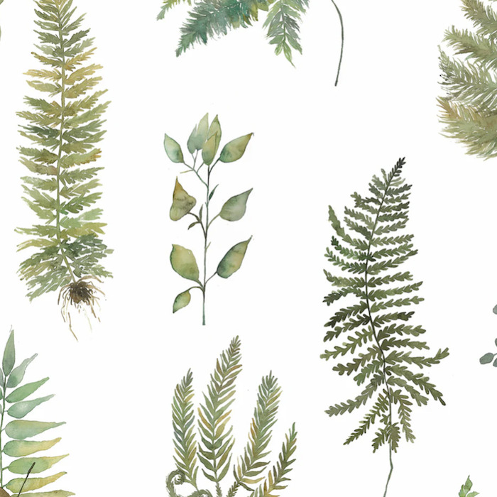 Voyage botanical stories wallpaper 23 product detail